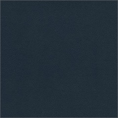 Liberty Academy Blue